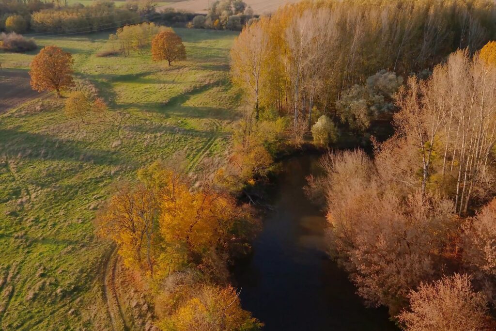 A Vasi-Hegyhát Natúrpark természetes vizei